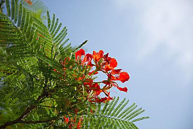 Funcom宣布《沙丘：觉醒》大规模测试即将开启